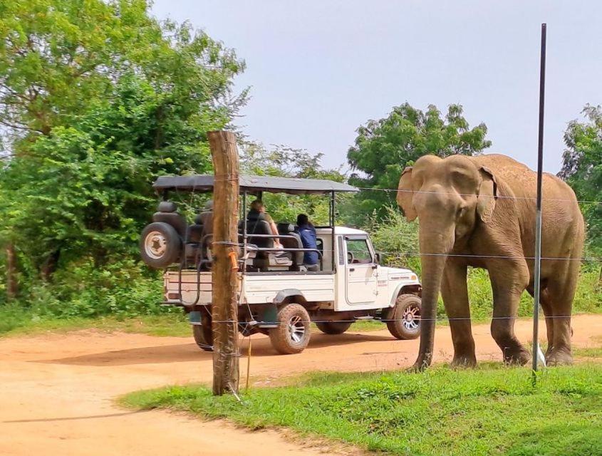Wild Park Safari Home Stay Udawalawe Buitenkant foto