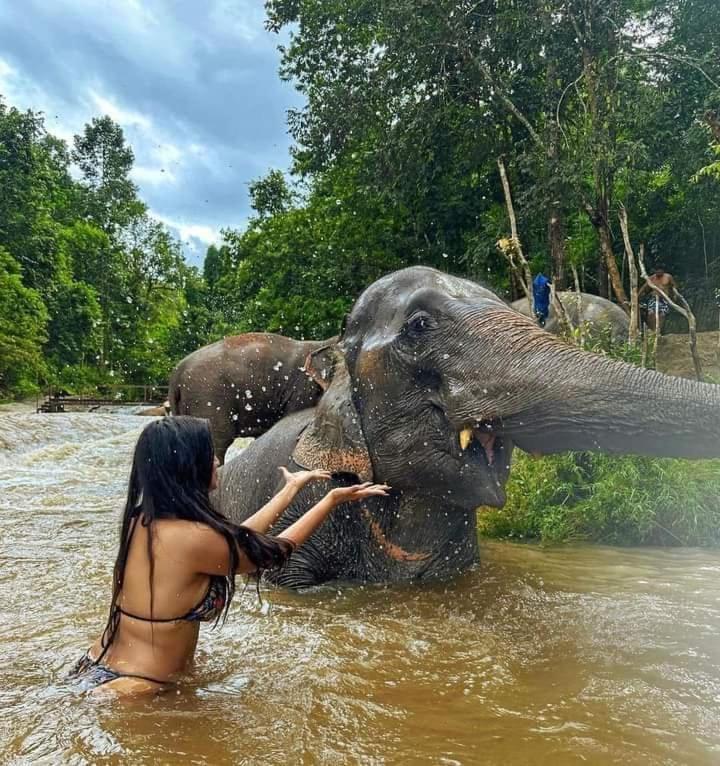 Wild Park Safari Home Stay Udawalawe Buitenkant foto