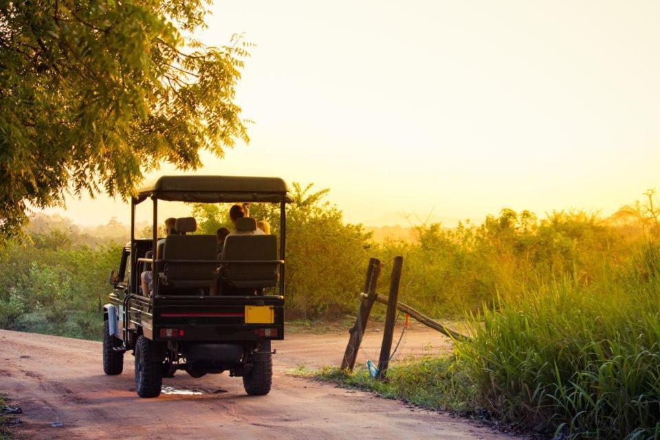 Wild Park Safari Home Stay Udawalawe Buitenkant foto